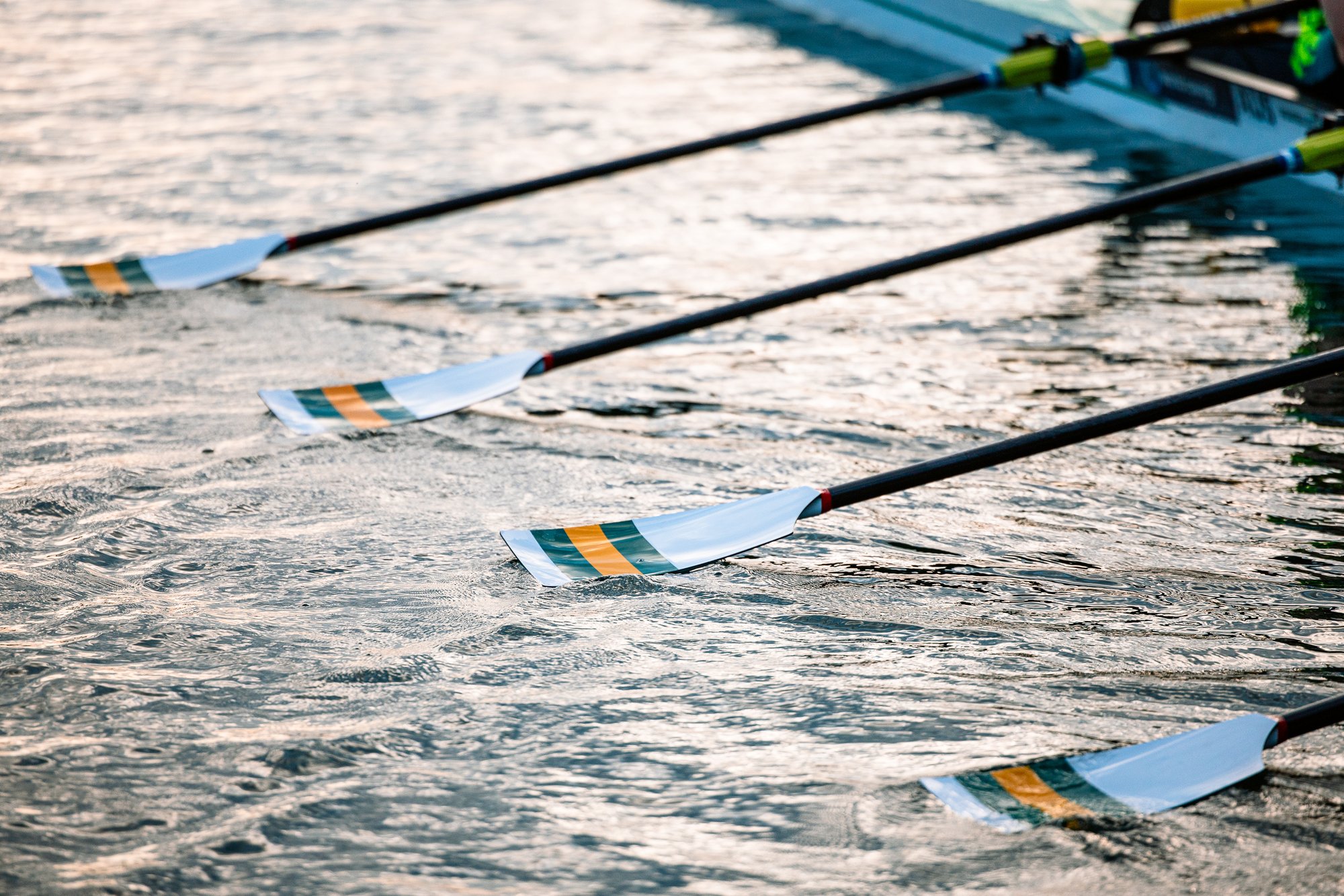 Define Rowing Rowing Terminology