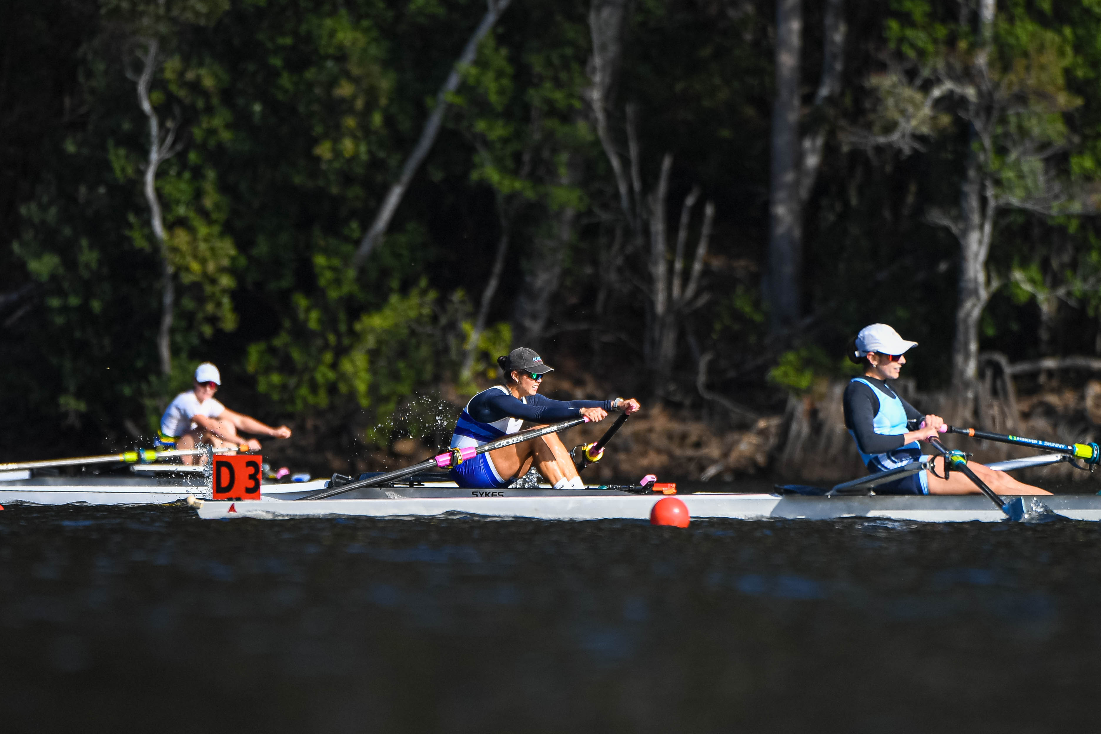 #ARC26 - Women's Open Single Scull Preview