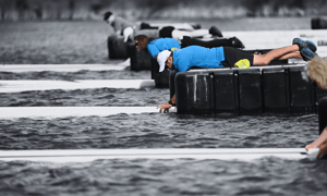 AUS Rowing Desktop Banners 2000 x 1200 (44) (1)